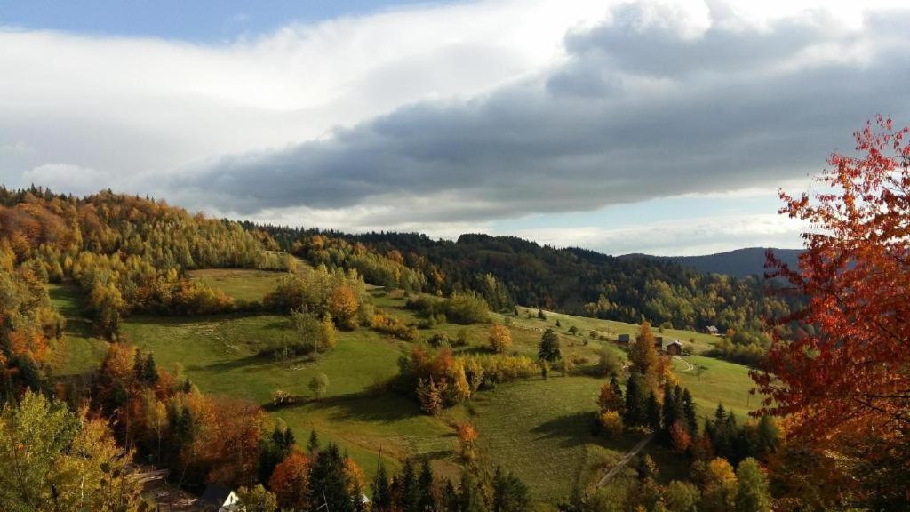 Agroturystyka U Doroty I Mariana Ochotnica Górna Exterior foto