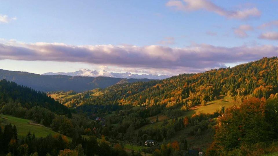 Agroturystyka U Doroty I Mariana Ochotnica Górna Exterior foto