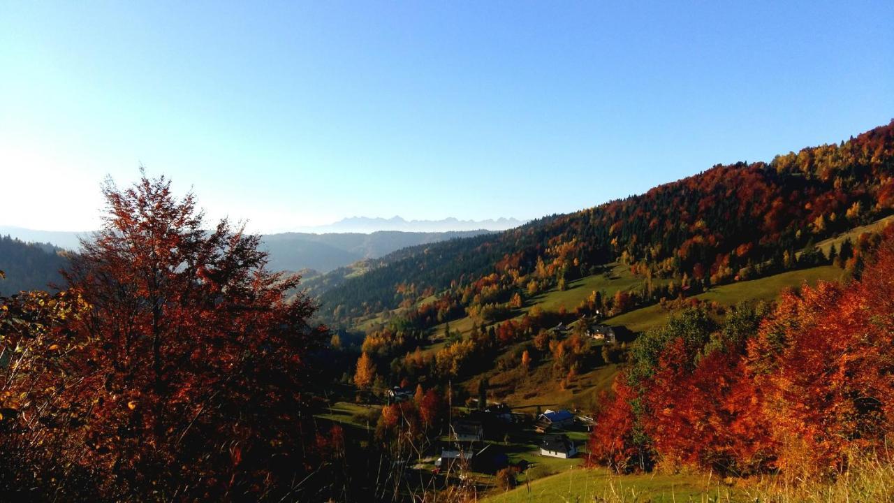 Agroturystyka U Doroty I Mariana Ochotnica Górna Exterior foto
